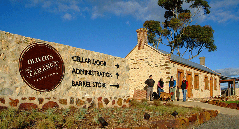 Olivers Taranga Vineyard Cellar Door